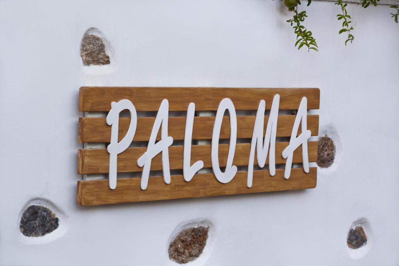 Paloma Luxury Studios Panormos  Buitenkant foto