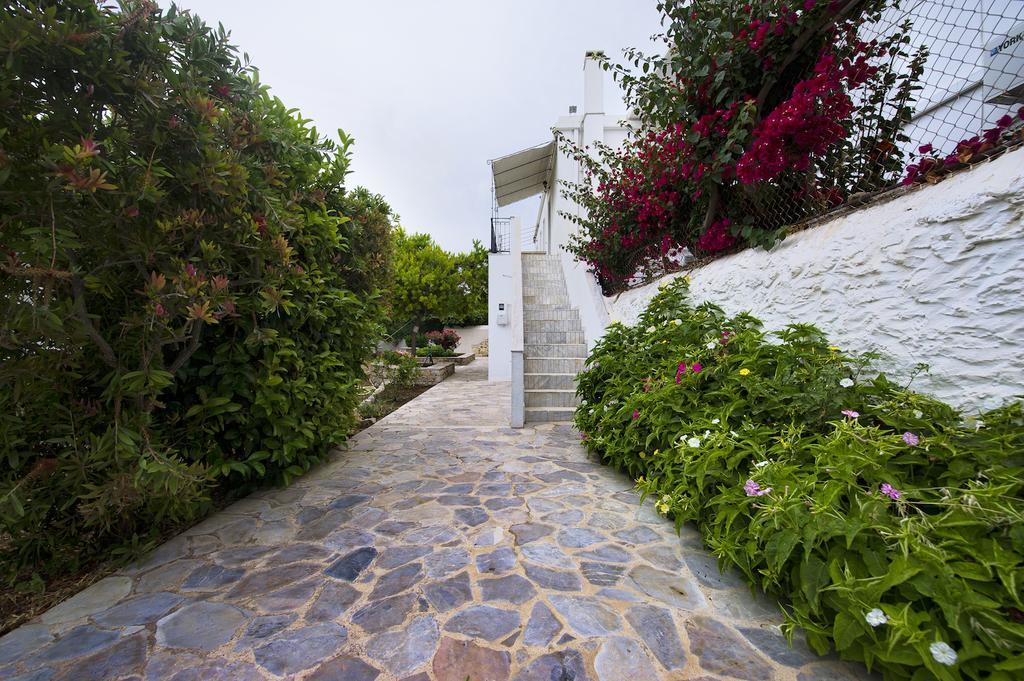 Paloma Luxury Studios Panormos  Buitenkant foto
